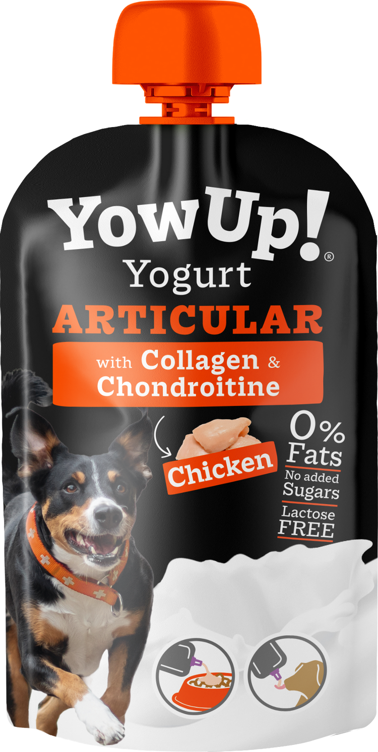 Articular Yogurt - Dogs