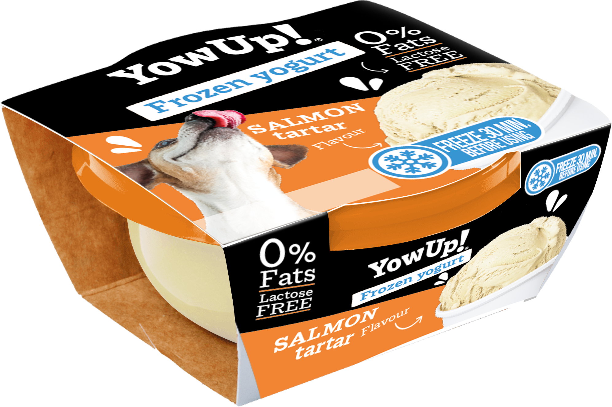 Yow Up Salmon Tartar FROYO