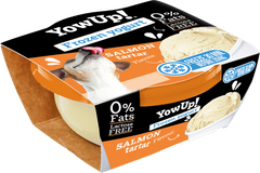 Yow Up Salmon Tartar FROYO