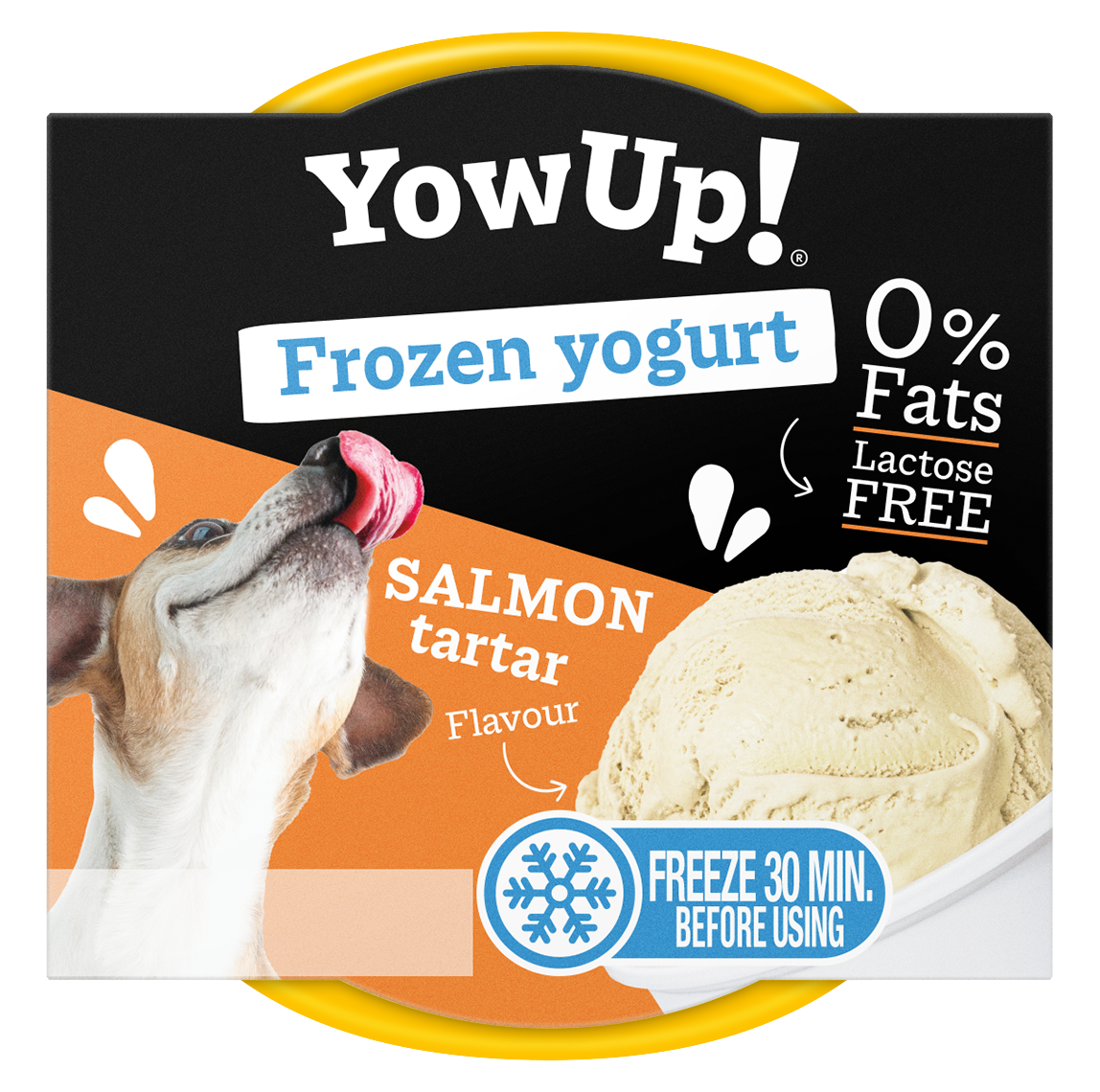 Yow Up Salmon Tartar FROYO